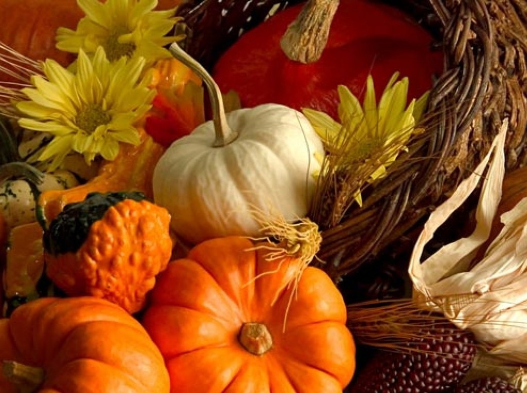 Image of yellow and orange gourds