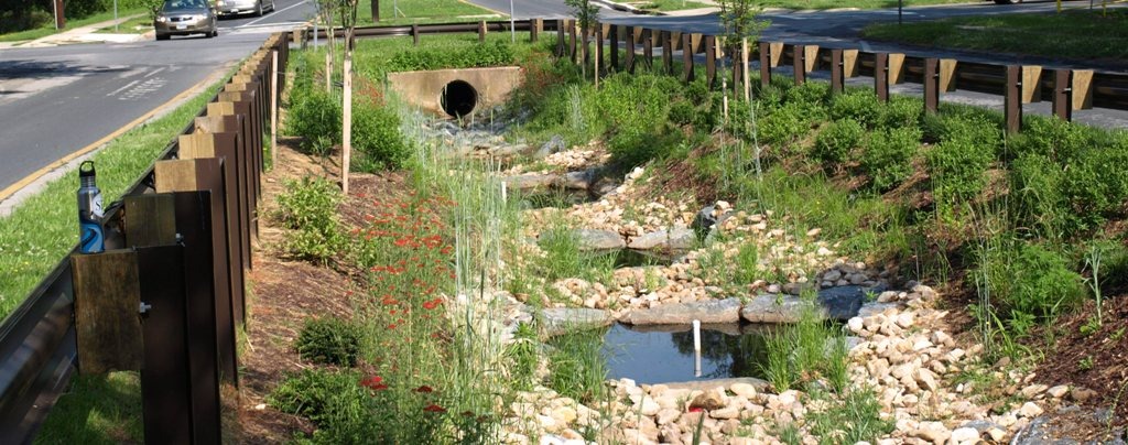 Image of the Dennis Avenue stormwater facility. They are regenerative step pools.