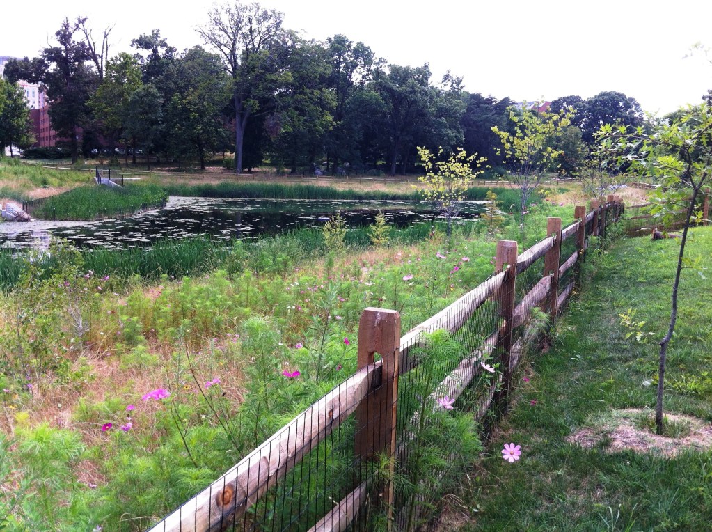 Stony Creek NIH 1024x764