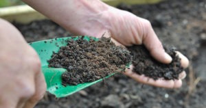 gardening tool full of finished compost 