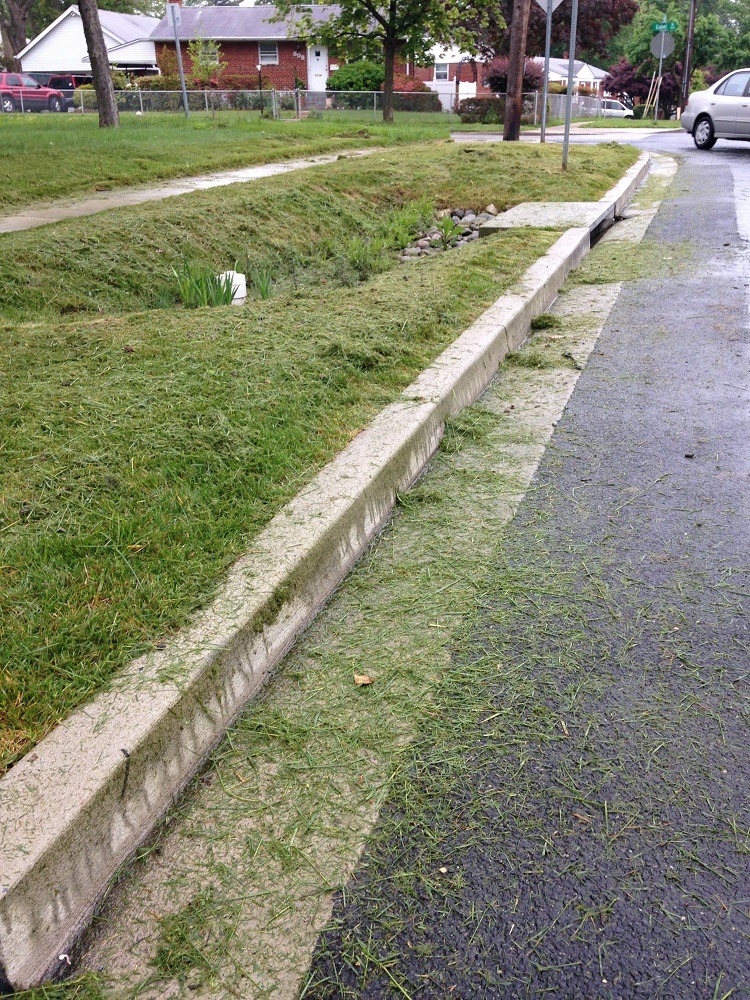 Grass clippings should be kept out of storm drains