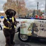 Rocco the Recycling Retriever Marches in the Holidays at the 2023 Montgomery County Thanksgiving Parade