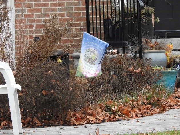 A rain garden in the winter with brown plants.