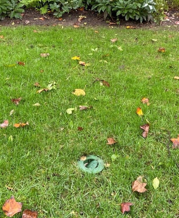 Broken dry well cap in a grassy lawn. 