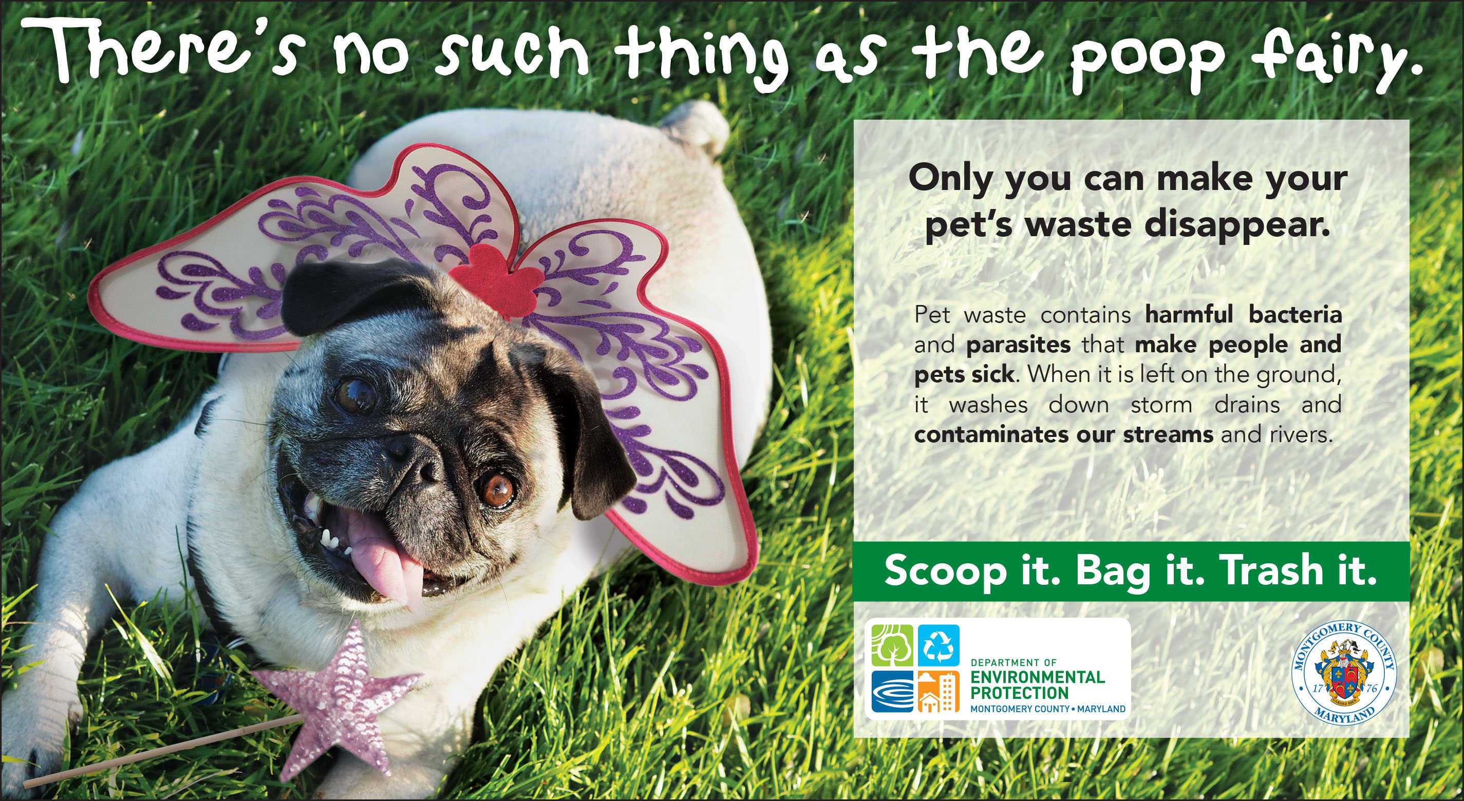 A dog smiling with its tongue out wearing butterfly wings. The image says "There's no such thing as the poop fairy."