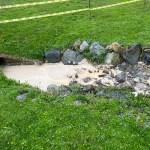 Restaurant Grease at outfall draining into Ashton Village Pond 4/19/24