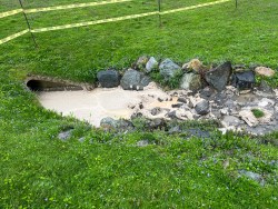 Restaurant Grease at outfall draining into Ashton Village Pond 4/19/24 