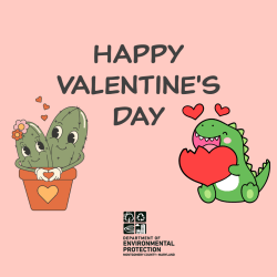 Cacti in a pot looking at each other in love and a dinosaur holding a heart smiling