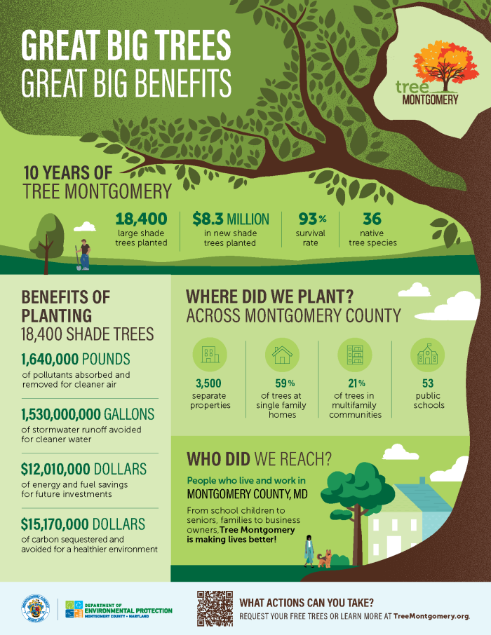 An infographic including statistics about 10 years of the Tree Montgomery program.